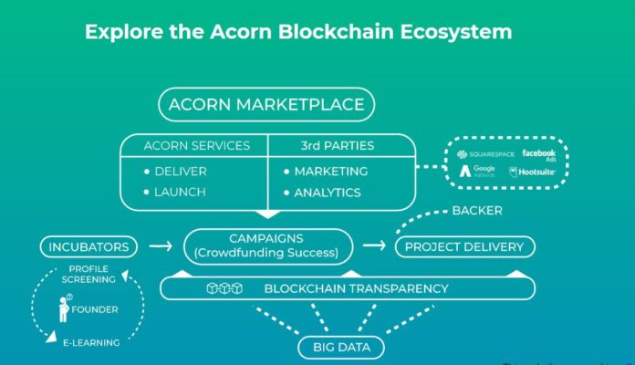 acorn blockchain