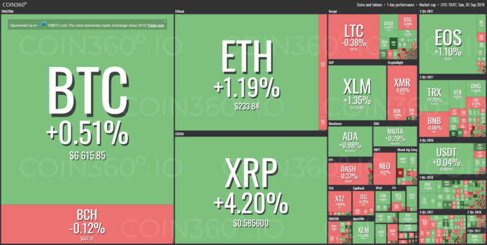 cryptocurrency green means buy red means sell