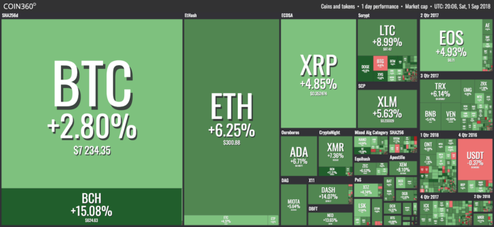Almost All Top 100 Cryptocurrencies Solidly in Green, Dogecoin