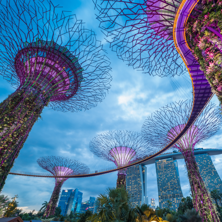 singapore-banner-1068×1068-768×768.png