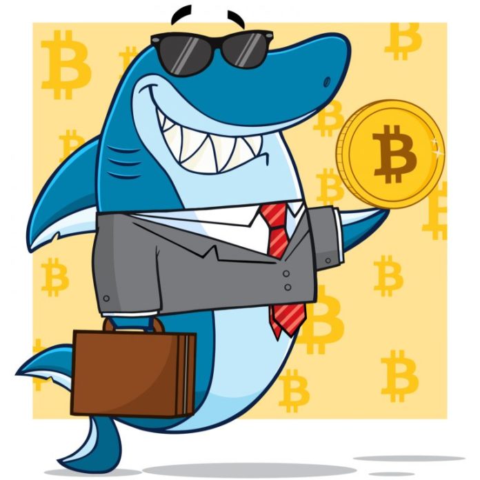 australian shark tank bitcoin