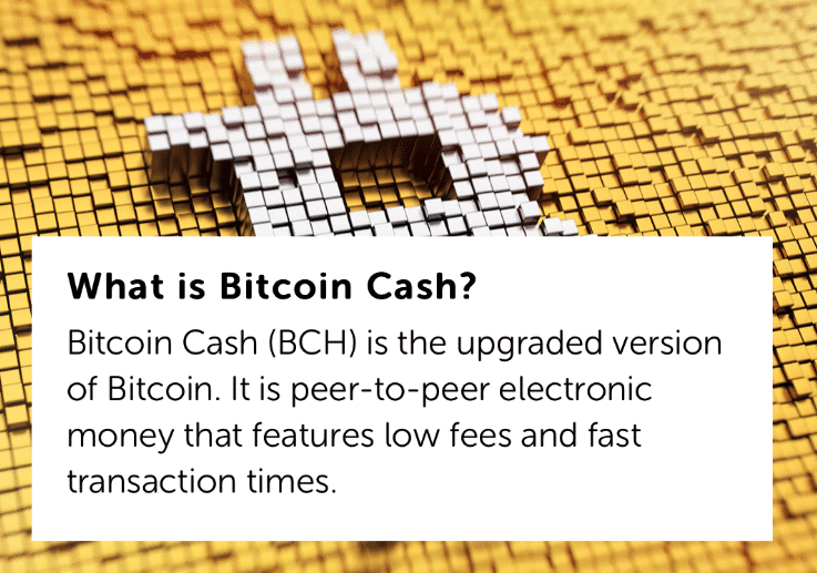 bitcoin cash upcoming fork