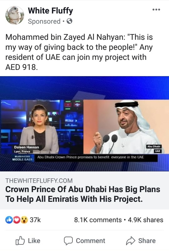 UAE investment scheme