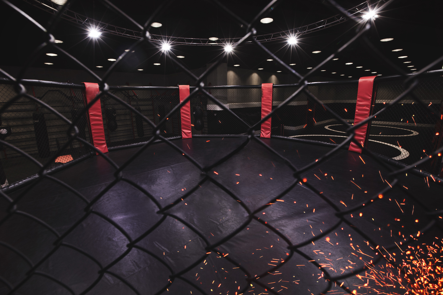 the-latest-technology-in-mma-fight-to-fame-the-bitcoin-news