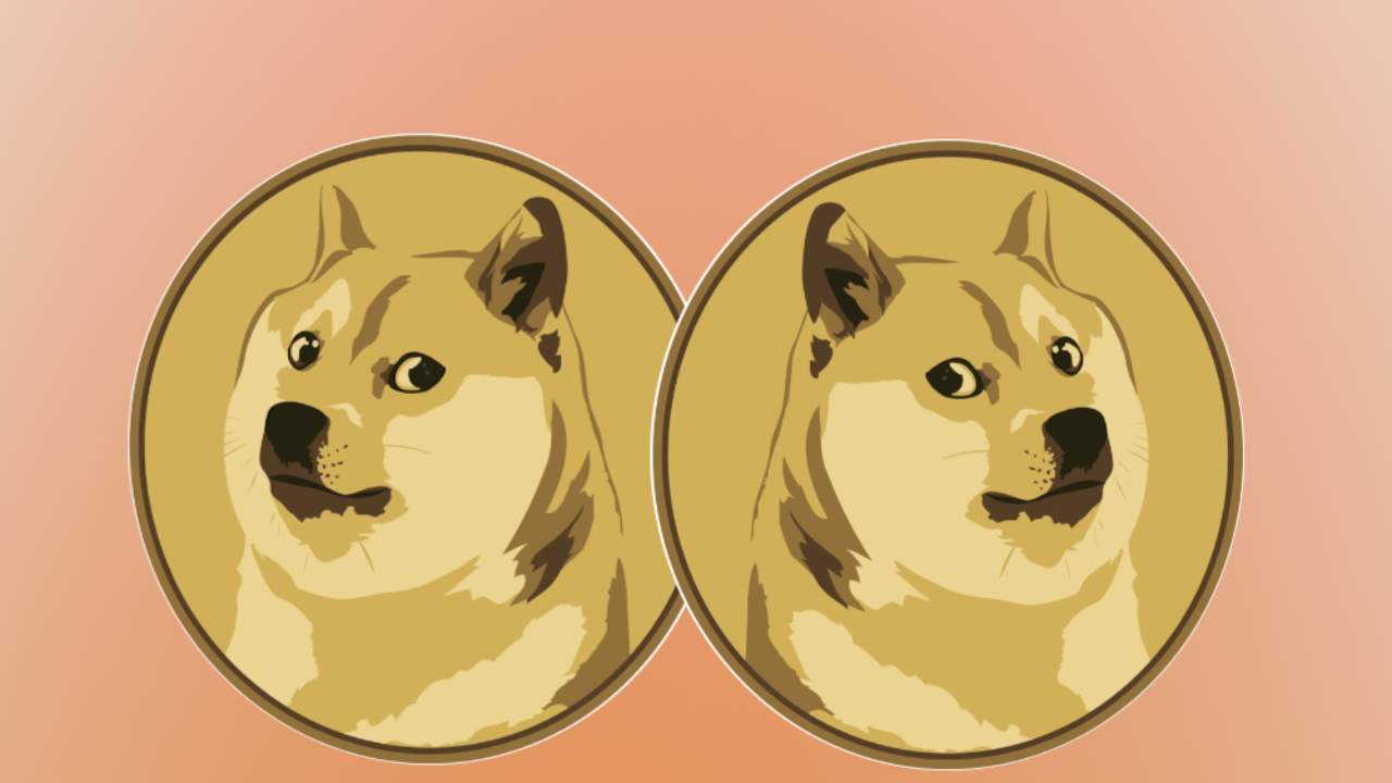 Image result for dogecoin