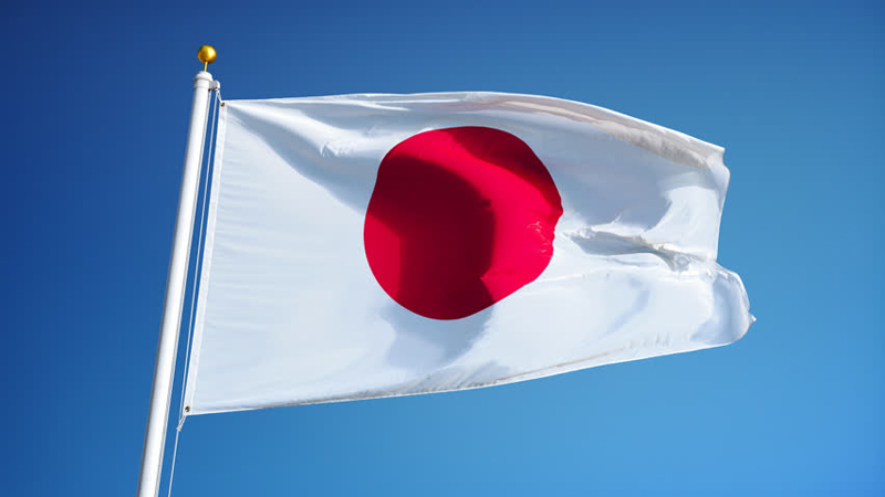 Image result for japan flag