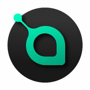 siacoin-logo