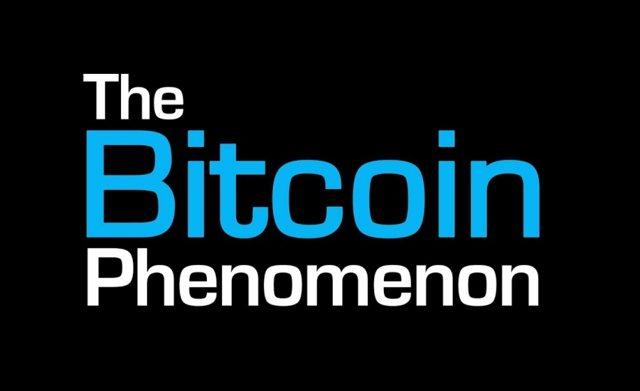 The Bitcoin Phenomenon