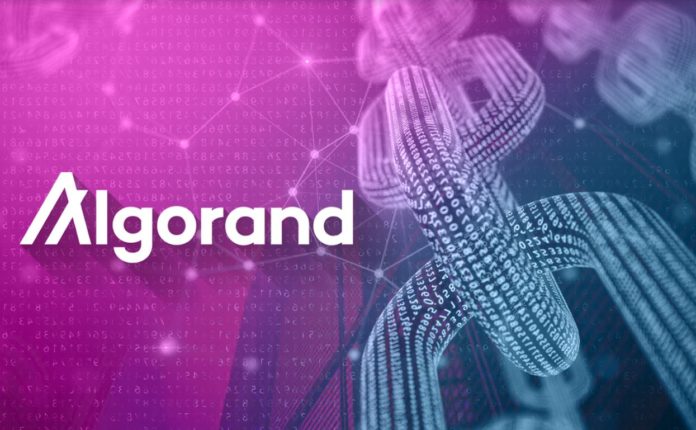 can algorand be the next bitcoin