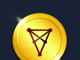 What are Fan Tokens