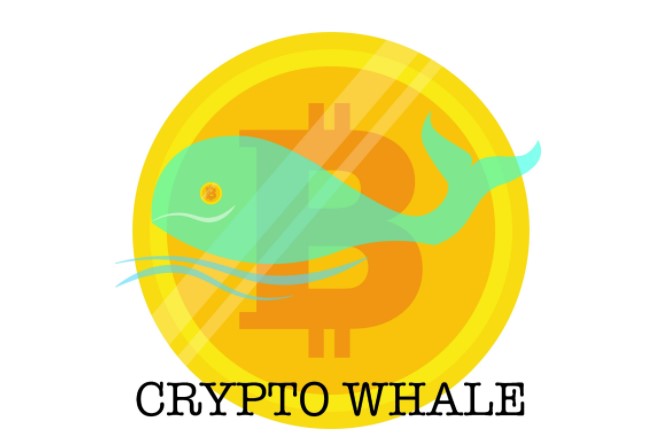 Crypto Whale