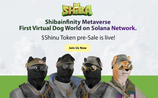 ShibaInfinity