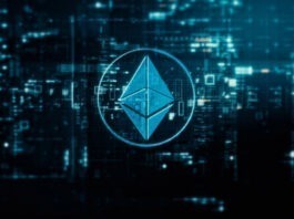 Movement Network Foundation