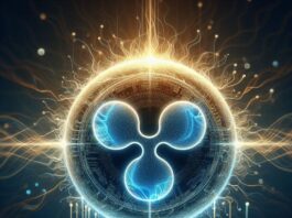XRP in Focus Current Dynamics and Market Comparisons