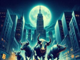 Bitcoin rally Experts warn of possible bull run