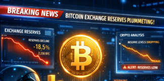 AI Bitcoin supply shock